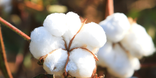 NUMER0 on valinnut olla mukana tekemässä muutosta siellä missä sitä tarvitaan